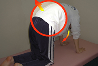 実戦操体法研究会 腰痛と膝痛の改善