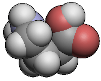 4-aminobutanoic acid